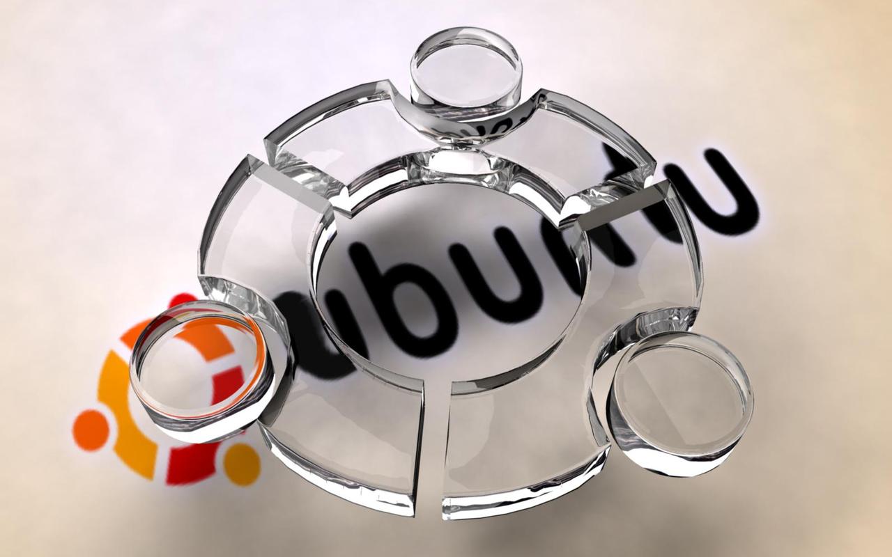 Ubuntu 13.10：优势与劣势分析