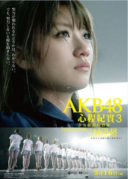 Documentary of AKB48 No Flower Without Rain