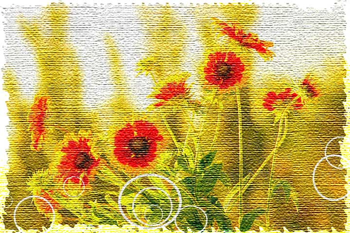 PS滤镜教程：把普通的花卉素材图片制作成壁布效果，布料壁纸效果