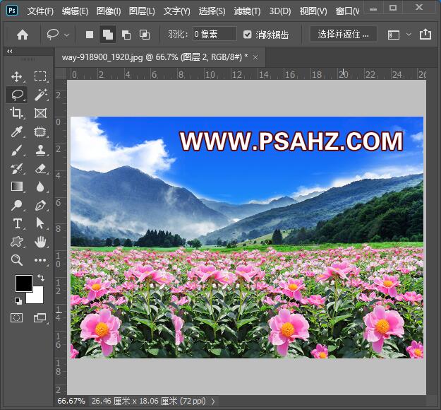 Photoshop合成一幅花开富贵的美景，漂亮的花海风景图片。