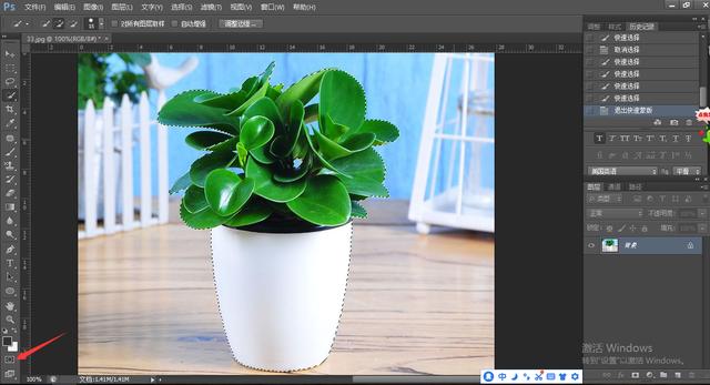 PS快速抠图教程：巧用快速蒙版工具抠出鲜嫩的绿色植物。
