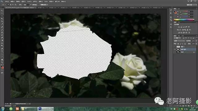 PS工具运用：学习用内容识别工具修复拍摄效果不好的花卉照片。