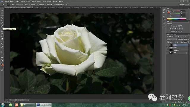 PS工具运用：学习用内容识别工具修复拍摄效果不好的花卉照片。