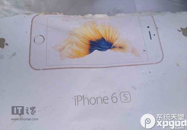 苹果iPhone6s包装盒曝光 亮丽新配色