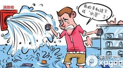 手机掉水里怎么办？